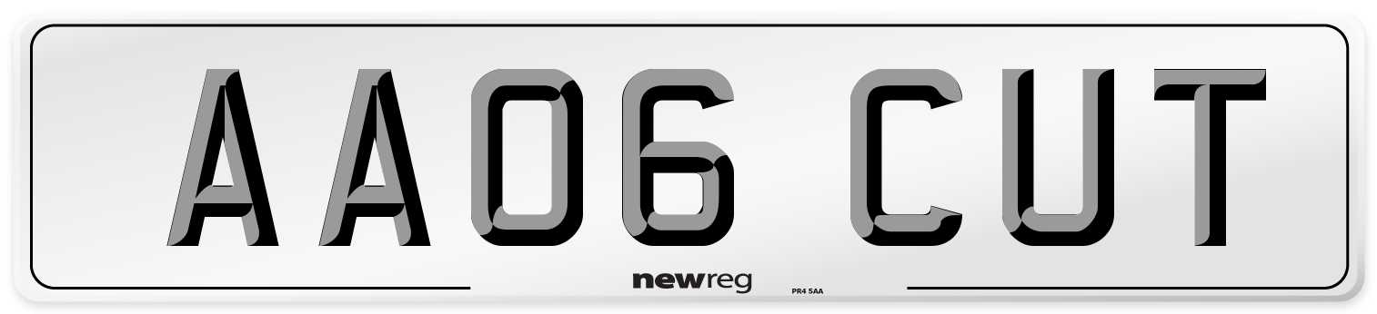 AA06 CUT Number Plate from New Reg